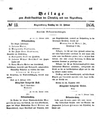 Königlich-bayerisches Kreis-Amtsblatt der Oberpfalz und von Regensburg (Königlich bayerisches Intelligenzblatt für die Oberpfalz und von Regensburg) Samstag 13. Februar 1858