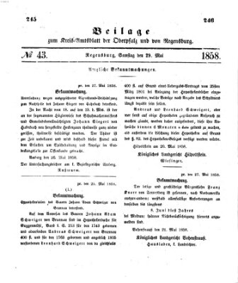 Königlich-bayerisches Kreis-Amtsblatt der Oberpfalz und von Regensburg (Königlich bayerisches Intelligenzblatt für die Oberpfalz und von Regensburg) Samstag 29. Mai 1858