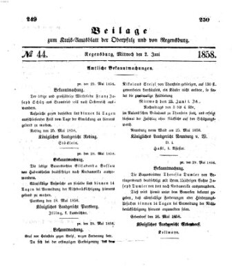 Königlich-bayerisches Kreis-Amtsblatt der Oberpfalz und von Regensburg (Königlich bayerisches Intelligenzblatt für die Oberpfalz und von Regensburg) Mittwoch 2. Juni 1858