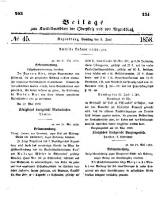 Königlich-bayerisches Kreis-Amtsblatt der Oberpfalz und von Regensburg (Königlich bayerisches Intelligenzblatt für die Oberpfalz und von Regensburg) Samstag 5. Juni 1858