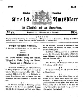 Königlich-bayerisches Kreis-Amtsblatt der Oberpfalz und von Regensburg (Königlich bayerisches Intelligenzblatt für die Oberpfalz und von Regensburg) Mittwoch 8. September 1858