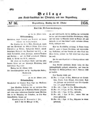 Königlich-bayerisches Kreis-Amtsblatt der Oberpfalz und von Regensburg (Königlich bayerisches Intelligenzblatt für die Oberpfalz und von Regensburg) Samstag 30. Oktober 1858