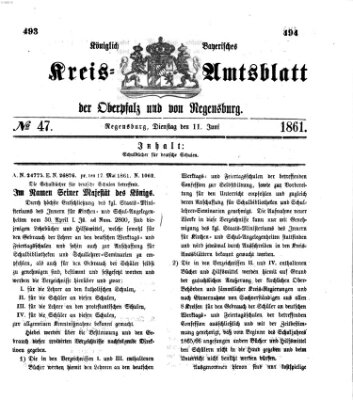 Königlich-bayerisches Kreis-Amtsblatt der Oberpfalz und von Regensburg (Königlich bayerisches Intelligenzblatt für die Oberpfalz und von Regensburg) Dienstag 11. Juni 1861