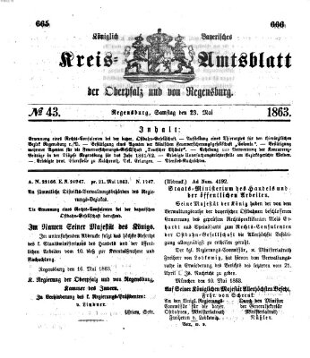 Königlich-bayerisches Kreis-Amtsblatt der Oberpfalz und von Regensburg (Königlich bayerisches Intelligenzblatt für die Oberpfalz und von Regensburg) Samstag 23. Mai 1863