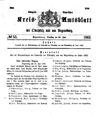 Königlich-bayerisches Kreis-Amtsblatt der Oberpfalz und von Regensburg (Königlich bayerisches Intelligenzblatt für die Oberpfalz und von Regensburg) Dienstag 30. Juni 1863