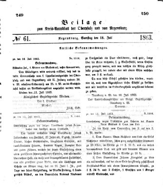 Königlich-bayerisches Kreis-Amtsblatt der Oberpfalz und von Regensburg (Königlich bayerisches Intelligenzblatt für die Oberpfalz und von Regensburg) Samstag 18. Juli 1863