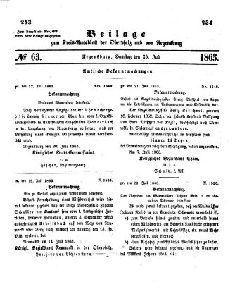 Königlich-bayerisches Kreis-Amtsblatt der Oberpfalz und von Regensburg (Königlich bayerisches Intelligenzblatt für die Oberpfalz und von Regensburg) Samstag 25. Juli 1863