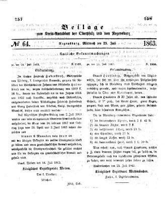 Königlich-bayerisches Kreis-Amtsblatt der Oberpfalz und von Regensburg (Königlich bayerisches Intelligenzblatt für die Oberpfalz und von Regensburg) Mittwoch 29. Juli 1863