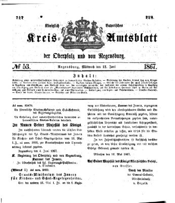 Königlich-bayerisches Kreis-Amtsblatt der Oberpfalz und von Regensburg (Königlich bayerisches Intelligenzblatt für die Oberpfalz und von Regensburg) Mittwoch 12. Juni 1867