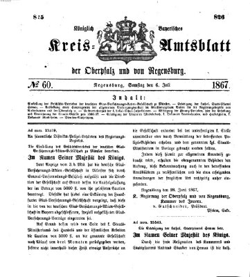 Königlich-bayerisches Kreis-Amtsblatt der Oberpfalz und von Regensburg (Königlich bayerisches Intelligenzblatt für die Oberpfalz und von Regensburg) Samstag 6. Juli 1867