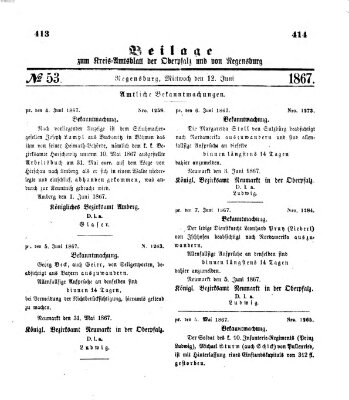 Königlich-bayerisches Kreis-Amtsblatt der Oberpfalz und von Regensburg (Königlich bayerisches Intelligenzblatt für die Oberpfalz und von Regensburg) Mittwoch 12. Juni 1867