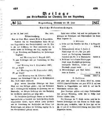 Königlich-bayerisches Kreis-Amtsblatt der Oberpfalz und von Regensburg (Königlich bayerisches Intelligenzblatt für die Oberpfalz und von Regensburg) Mittwoch 19. Juni 1867