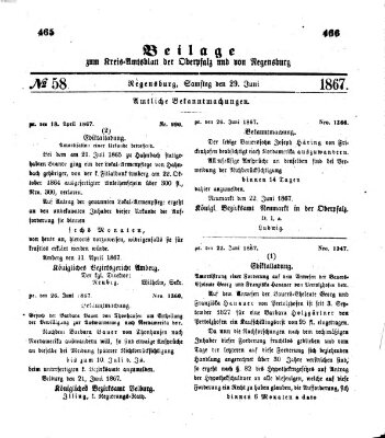 Königlich-bayerisches Kreis-Amtsblatt der Oberpfalz und von Regensburg (Königlich bayerisches Intelligenzblatt für die Oberpfalz und von Regensburg) Samstag 29. Juni 1867