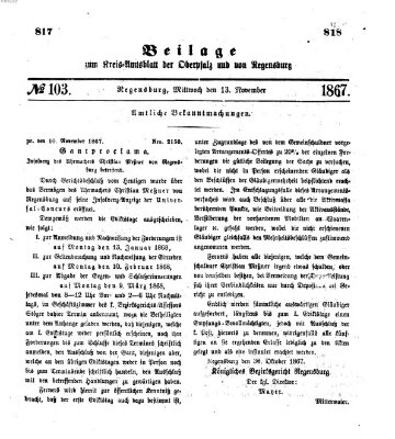 Königlich-bayerisches Kreis-Amtsblatt der Oberpfalz und von Regensburg (Königlich bayerisches Intelligenzblatt für die Oberpfalz und von Regensburg) Mittwoch 13. November 1867