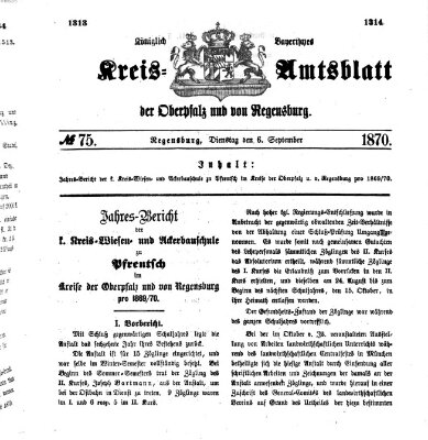 Königlich-bayerisches Kreis-Amtsblatt der Oberpfalz und von Regensburg (Königlich bayerisches Intelligenzblatt für die Oberpfalz und von Regensburg) Dienstag 6. September 1870