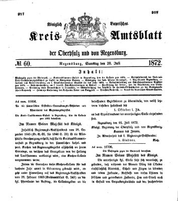 Königlich-bayerisches Kreis-Amtsblatt der Oberpfalz und von Regensburg (Königlich bayerisches Intelligenzblatt für die Oberpfalz und von Regensburg) Samstag 20. Juli 1872