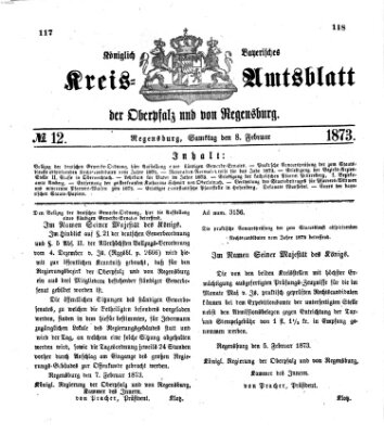 Königlich-bayerisches Kreis-Amtsblatt der Oberpfalz und von Regensburg (Königlich bayerisches Intelligenzblatt für die Oberpfalz und von Regensburg) Samstag 8. Februar 1873