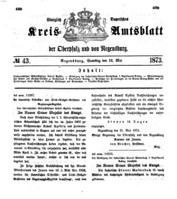 Königlich-bayerisches Kreis-Amtsblatt der Oberpfalz und von Regensburg (Königlich bayerisches Intelligenzblatt für die Oberpfalz und von Regensburg) Samstag 24. Mai 1873