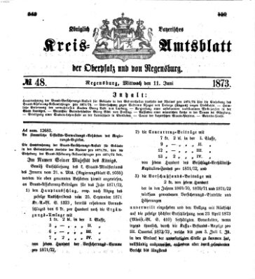 Königlich-bayerisches Kreis-Amtsblatt der Oberpfalz und von Regensburg (Königlich bayerisches Intelligenzblatt für die Oberpfalz und von Regensburg) Mittwoch 11. Juni 1873