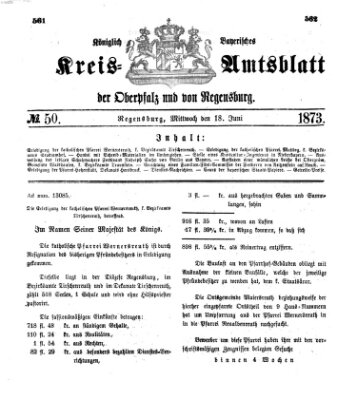 Königlich-bayerisches Kreis-Amtsblatt der Oberpfalz und von Regensburg (Königlich bayerisches Intelligenzblatt für die Oberpfalz und von Regensburg) Mittwoch 18. Juni 1873