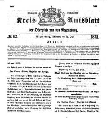 Königlich-bayerisches Kreis-Amtsblatt der Oberpfalz und von Regensburg (Königlich bayerisches Intelligenzblatt für die Oberpfalz und von Regensburg) Mittwoch 30. Juli 1873