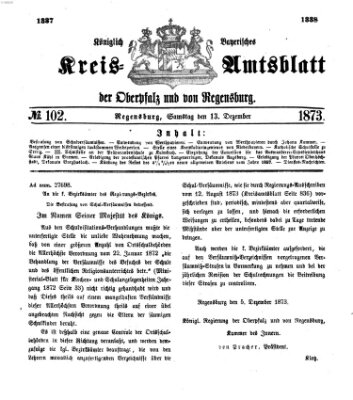 Königlich-bayerisches Kreis-Amtsblatt der Oberpfalz und von Regensburg (Königlich bayerisches Intelligenzblatt für die Oberpfalz und von Regensburg) Samstag 13. Dezember 1873