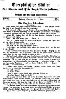 Oberpfälzische Blätter für Sonn- und Feiertags-Unterhaltung (Amberger Volks-Zeitung für Stadt und Land) Sonntag 7. Juni 1874