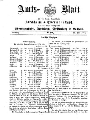 Amtsblatt für die Königlichen Bezirksämter Forchheim und Ebermannstadt sowie für die Königliche Stadt Forchheim Samstag 13. Juni 1874