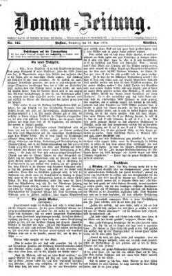 Donau-Zeitung Sonntag 21. Juni 1874