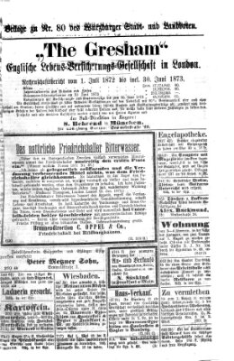 Würzburger Stadt- und Landbote Freitag 3. April 1874