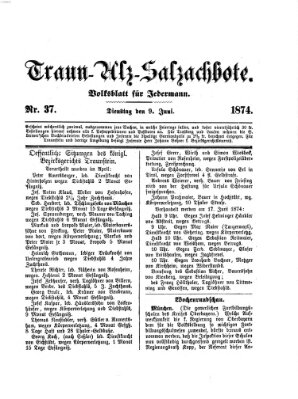 Traun-Alz-Salzachbote Dienstag 9. Juni 1874