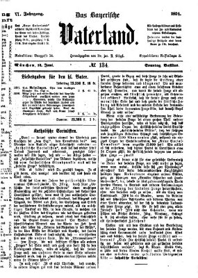 Das bayerische Vaterland Sonntag 14. Juni 1874