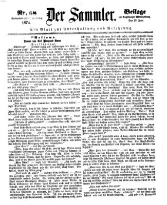 Der Sammler (Augsburger Abendzeitung) Dienstag 23. Juni 1874