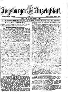 Augsburger Anzeigeblatt Sonntag 15. August 1875