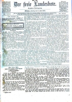 Der freie Landesbote Sonntag 6. Juni 1875