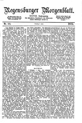 Regensburger Morgenblatt Sonntag 6. Juni 1875