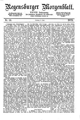 Regensburger Morgenblatt Sonntag 13. Juni 1875