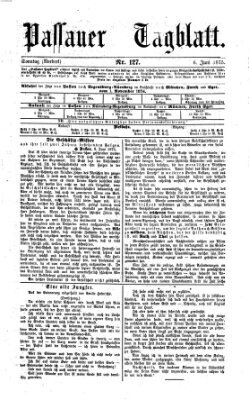 Passauer Tagblatt Sonntag 6. Juni 1875