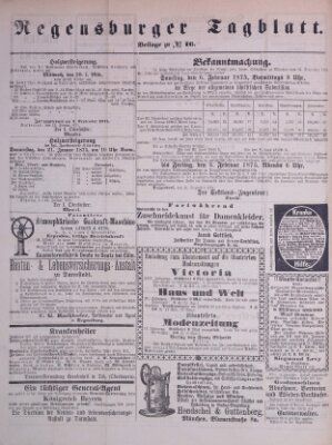 Regensburger Tagblatt Samstag 16. Januar 1875