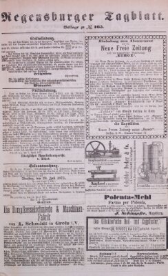 Regensburger Tagblatt Freitag 18. Juni 1875