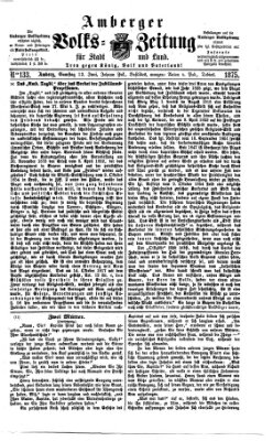 Amberger Volks-Zeitung für Stadt und Land Samstag 12. Juni 1875