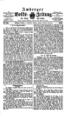 Amberger Volks-Zeitung für Stadt und Land Dienstag 9. November 1875