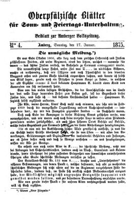 Oberpfälzische Blätter für Sonn- und Feiertags-Unterhaltung (Amberger Volks-Zeitung für Stadt und Land) Sonntag 17. Januar 1875