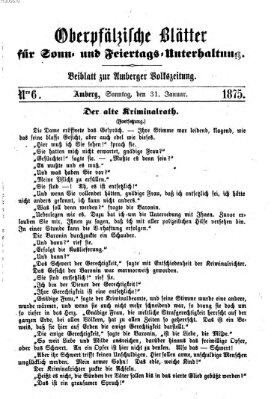 Oberpfälzische Blätter für Sonn- und Feiertags-Unterhaltung (Amberger Volks-Zeitung für Stadt und Land) Sonntag 31. Januar 1875