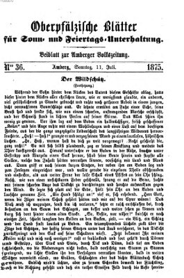 Oberpfälzische Blätter für Sonn- und Feiertags-Unterhaltung (Amberger Volks-Zeitung für Stadt und Land) Sonntag 11. Juli 1875