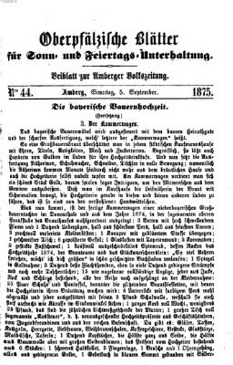 Oberpfälzische Blätter für Sonn- und Feiertags-Unterhaltung (Amberger Volks-Zeitung für Stadt und Land) Sonntag 5. September 1875