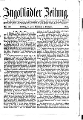 Ingolstädter Zeitung (Neue Ingolstädter Zeitung) Samstag 19. Juni 1875