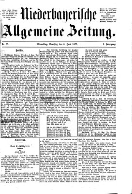 Niederbayerische allgemeine Zeitung Samstag 5. Juni 1875