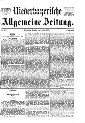 Niederbayerische allgemeine Zeitung Sonntag 6. Juni 1875