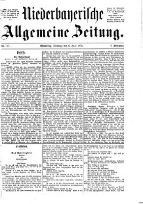 Niederbayerische allgemeine Zeitung Dienstag 8. Juni 1875